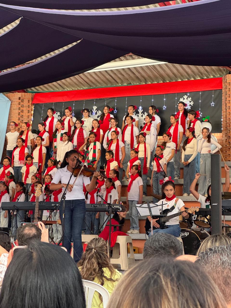 Violín